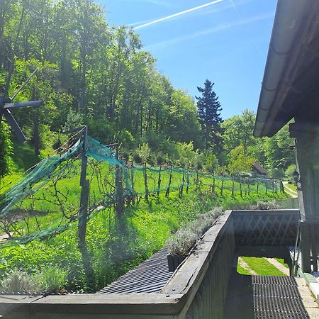 Das Altsteirische Landhaus - La Maison De Pronegg - Feriendomizil Im Biosphaerenpark Wienerwald Pressbaum Bagian luar foto