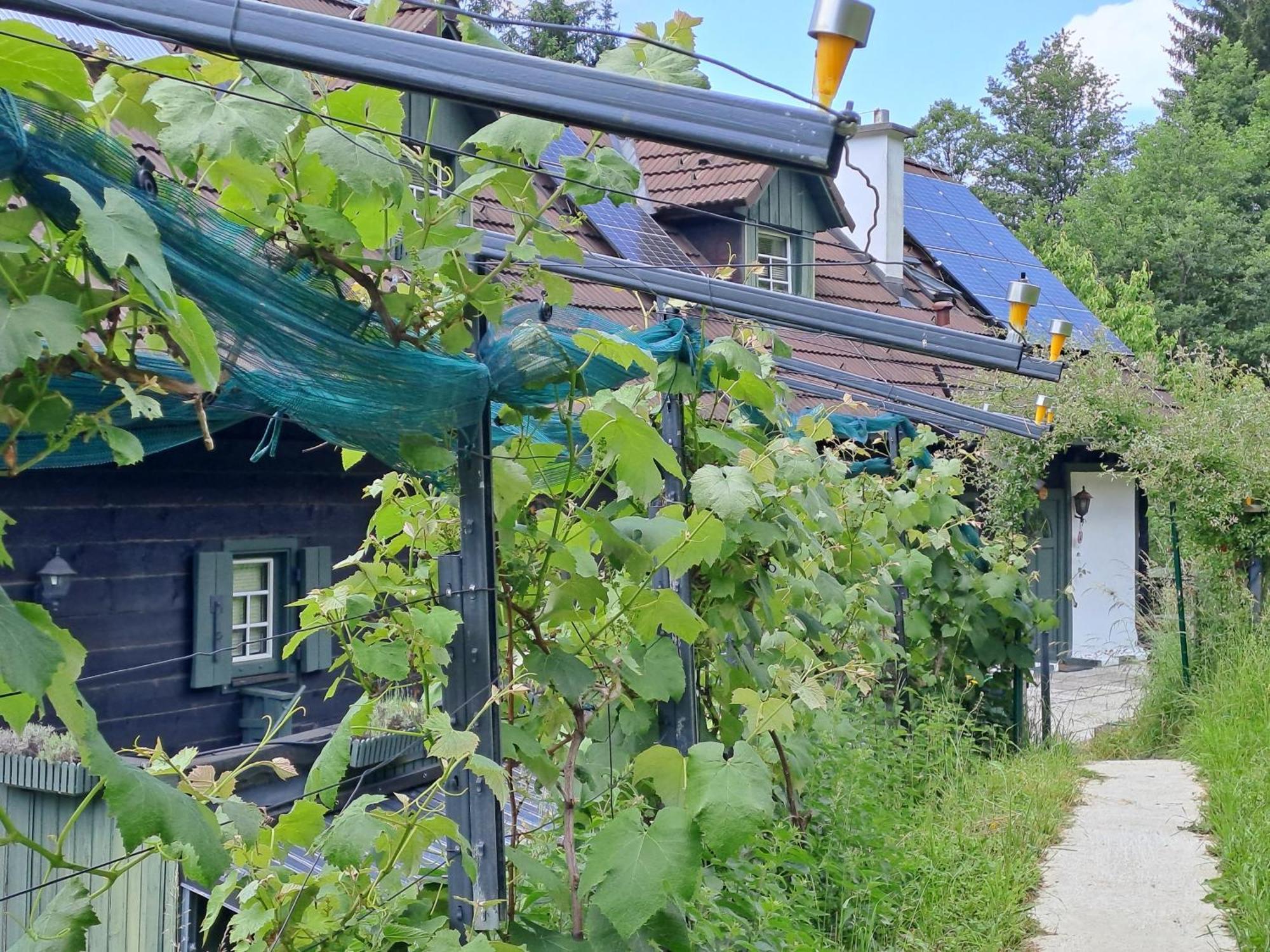 Das Altsteirische Landhaus - La Maison De Pronegg - Feriendomizil Im Biosphaerenpark Wienerwald Pressbaum Bagian luar foto