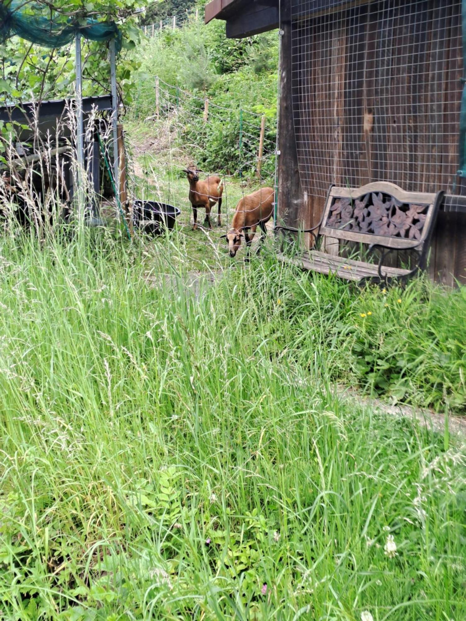 Das Altsteirische Landhaus - La Maison De Pronegg - Feriendomizil Im Biosphaerenpark Wienerwald Pressbaum Bagian luar foto